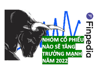 nhóm cổ phiếu tăng trưởng mạnh năm 2022-finpedia