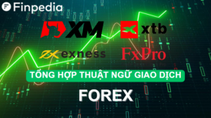 tổng hợp thuật ngữ forex-finpedia