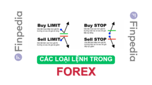 cac-loai-lenh-trong-forex-finpedia